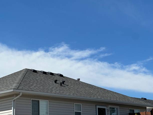 Best Storm Damage Roof Repair  in Richmond Heights, OH